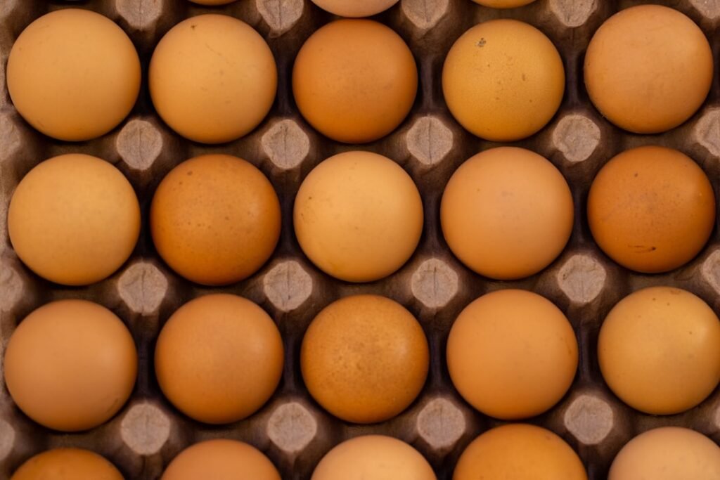 Photo Protein sources