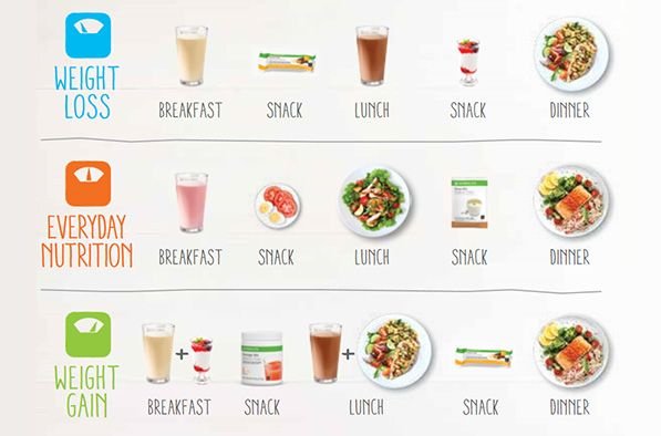 Herbalife Meal Plan: Transform Your Health with Balanced Nutrition Herbalife Meal Plan: Transform Your Health with Balanced Nutrition
