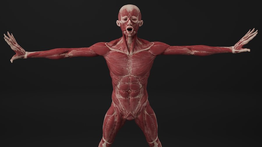 Photo body mass index
