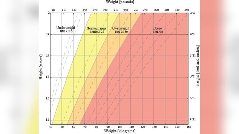 Bmi Age Calculator: Unlock Your Health Insights Instantly