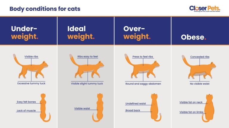 How Much Do You Have to Weigh to Be Underweight: Essential Guide