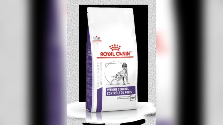 Royal Canin Obesity Management: Effective Weight Control Tips Royal Canin Obesity Management: Effective Weight Control Tips